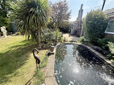 Picture 28